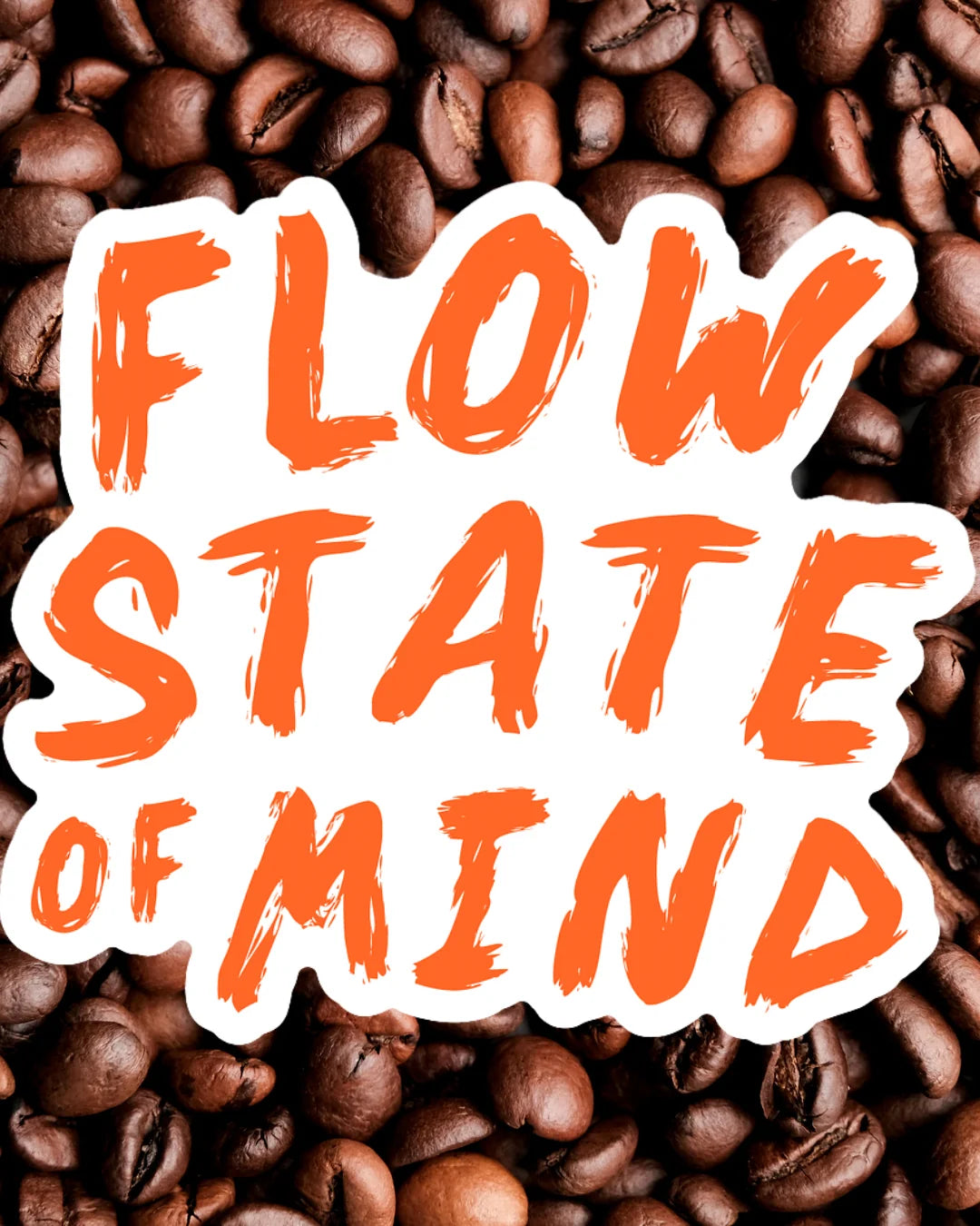 Flow State Explorer Bundle
