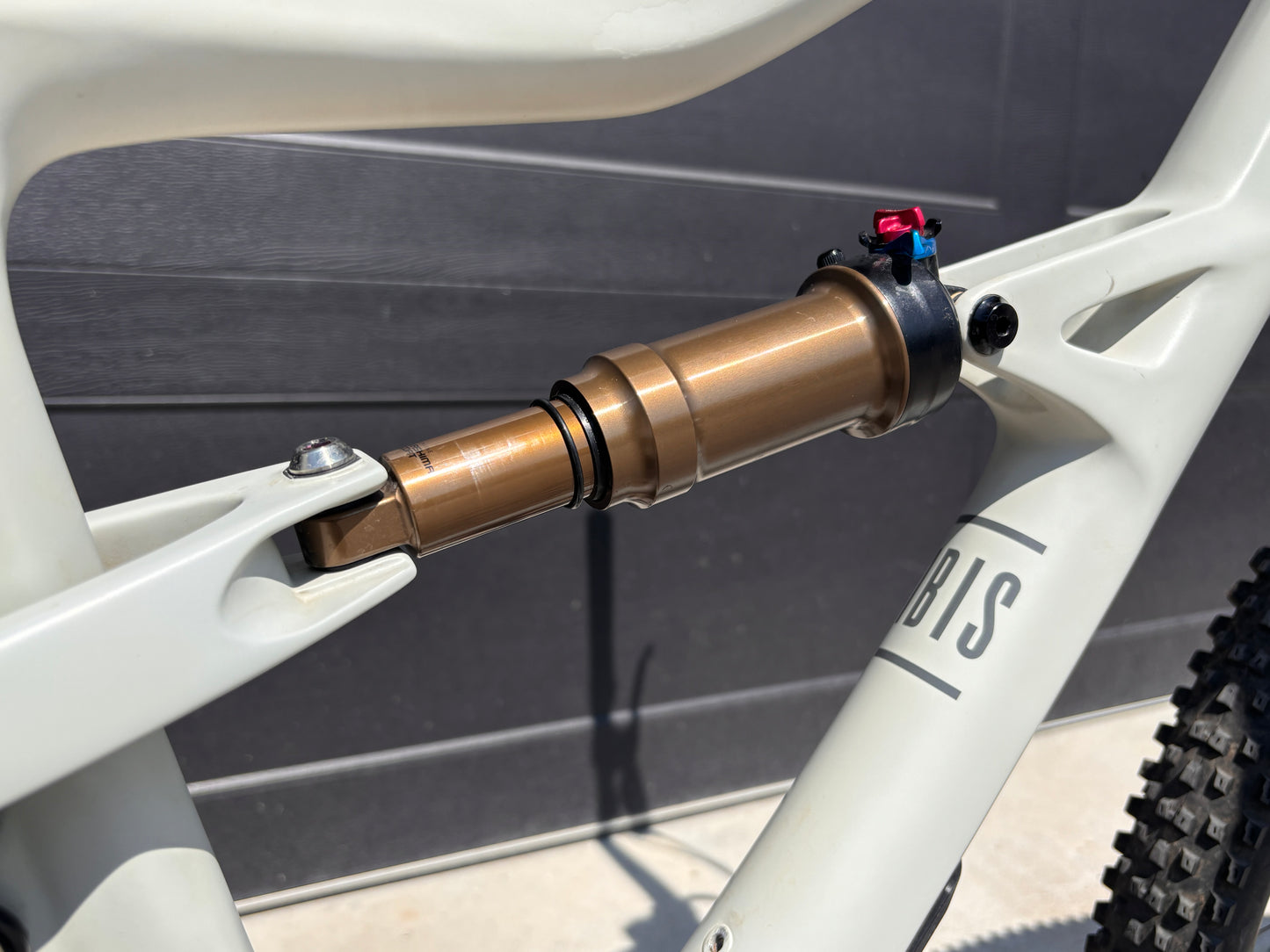 Ibis Ripley V4 (Pre-Ridden)